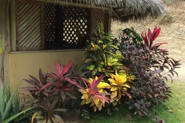 Jardines