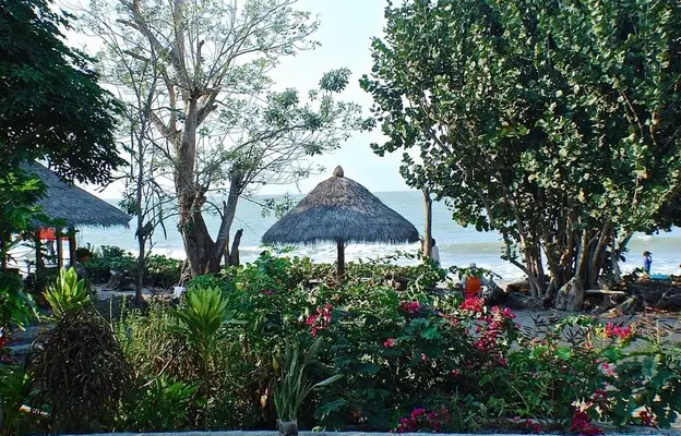 Playa privada y naturaleza